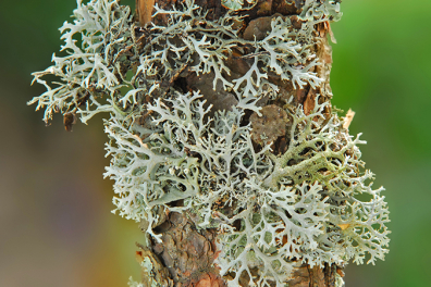 Vivre à deux - bilan - 3mn 29s